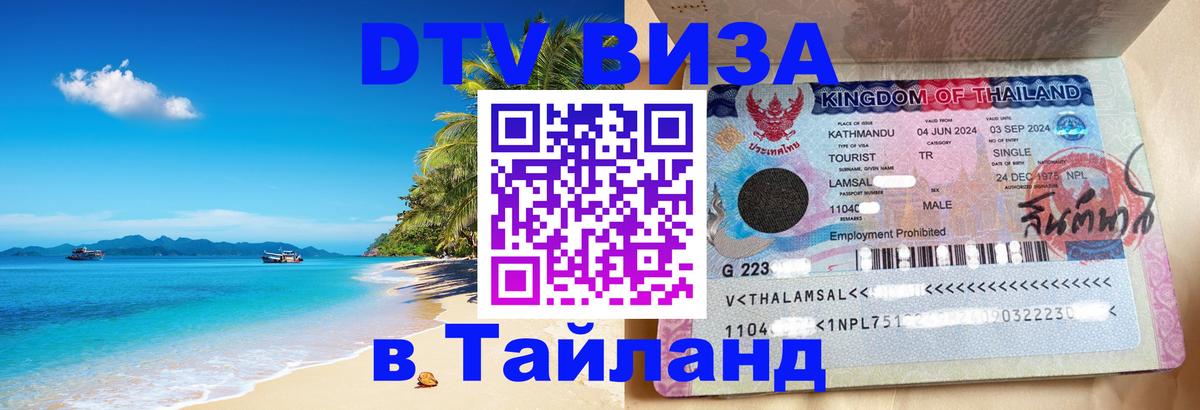 Сколько стоит DTV виза — актуальные цены, оформление даже без документов - 09.01.2026 